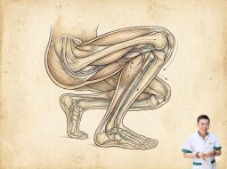 Tê chân khi ngồi xổm: Cảnh báo khí huyết ứ trệ và bệnh lý