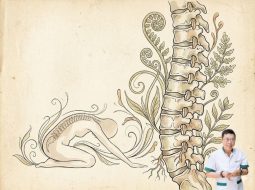 Thoái hóa cột sống có nên tập yoga? 3 bài tập hiệu quả