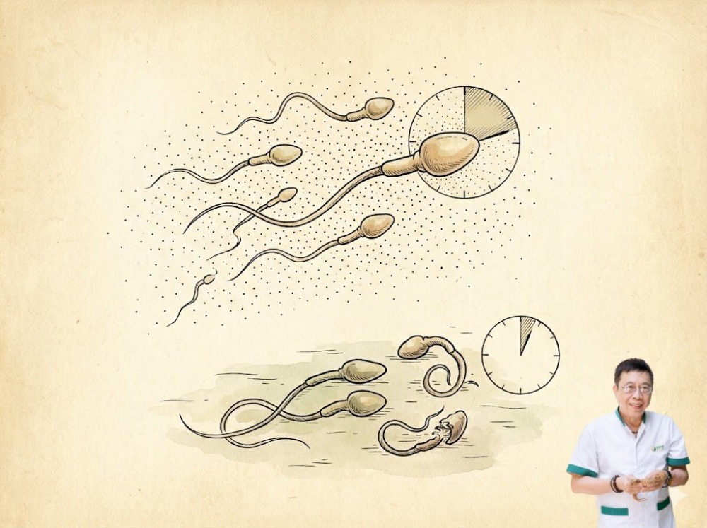 Tinh trùng sống được bao lâu