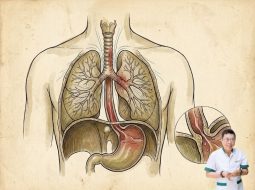 Biểu hiện trào ngược dạ dày gây khó thở và cách ổn định